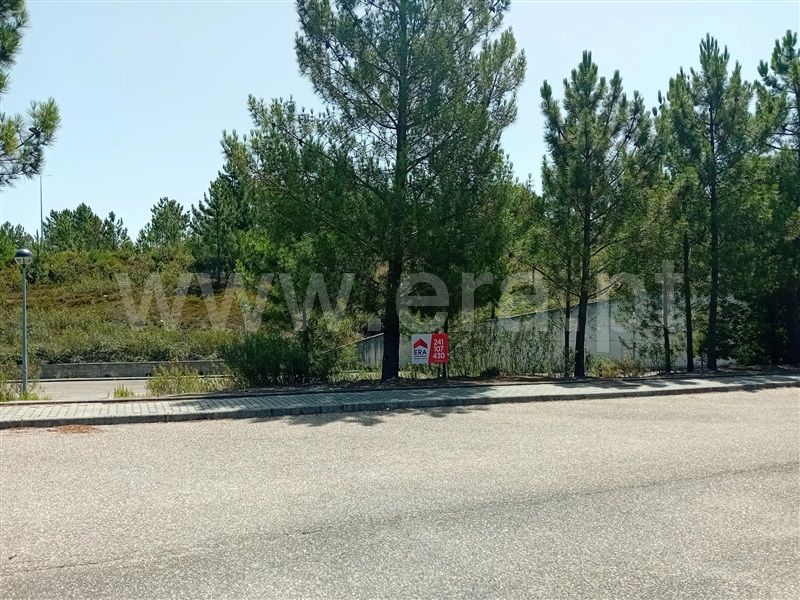 Lote  Vila de Rei - 1342617 - 4
