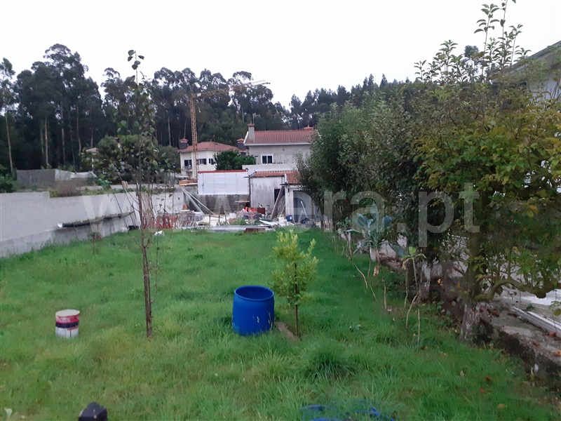 Lote / Vila do Conde, Canidelo