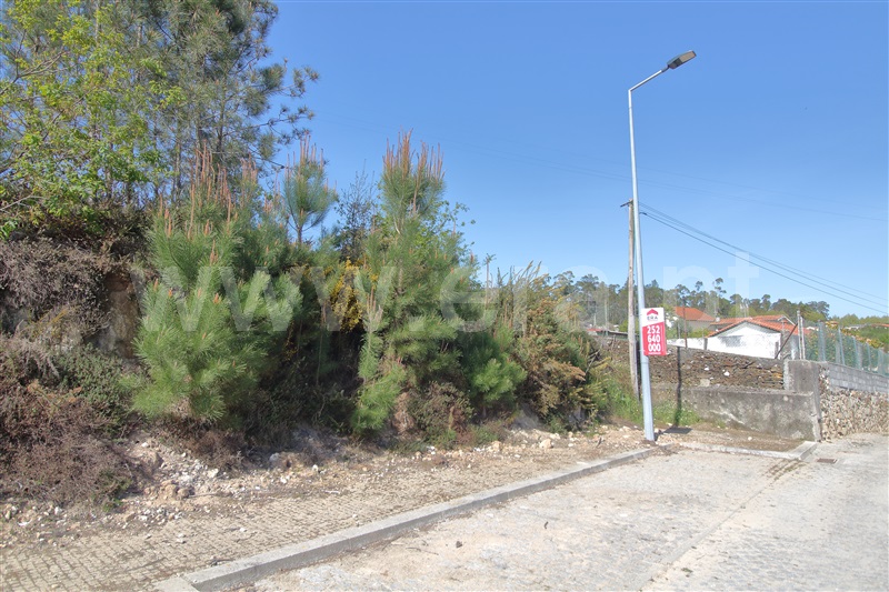 Lote / Vila do Conde, Ferreiró
