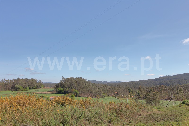 Lote  com Urbano Vila do Conde, Ferreiró - 1241792 - 8