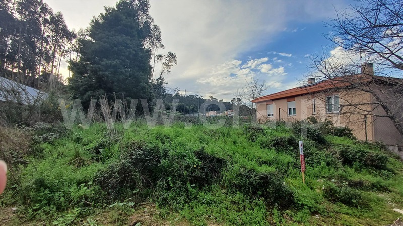 Lote  Vila do Conde, Fornelo e Vairão - 1386502 - 3