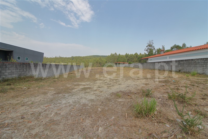 Lote / Vila do Conde, Junqueira