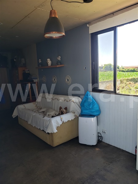 Lote  Vila do Conde, Bagunte, Ferreiró, Outeiro Maior e Parada - 1459234 - 2