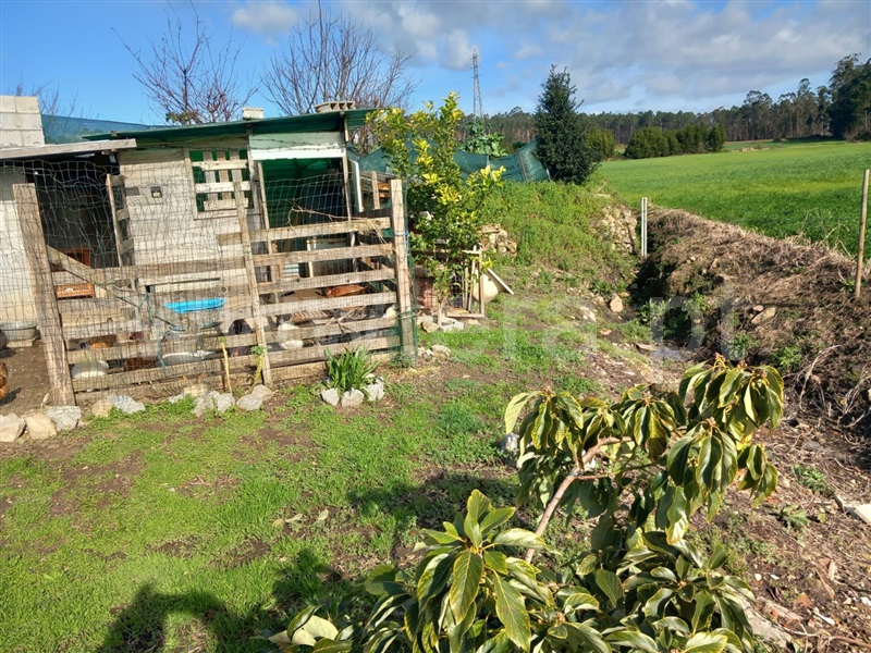 Lote  Vila do Conde, Bagunte, Ferreiró, Outeiro Maior e Parada - 1459234 - 8