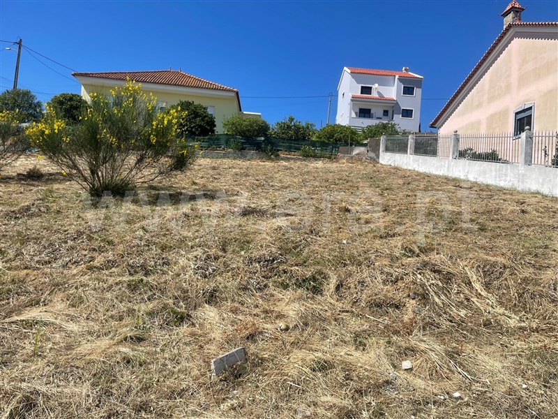Lote / Vila Franca de Xira, Vialonga