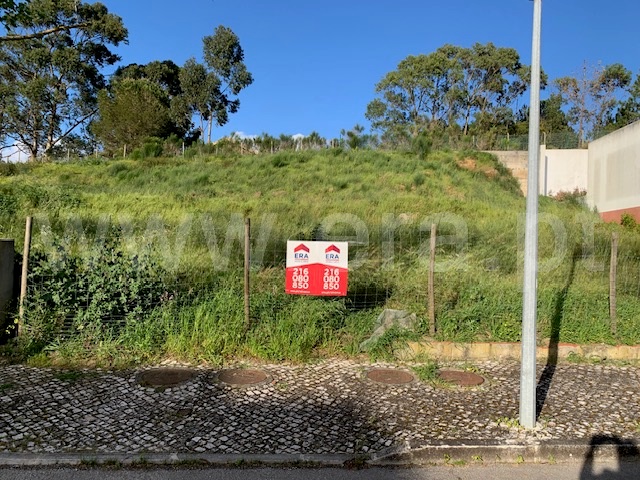 Lote / Vila Franca de Xira, Vila Franca de Xira