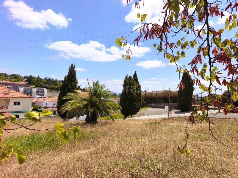 Lote / Vila Franca de Xira, Vila Franca de Xira