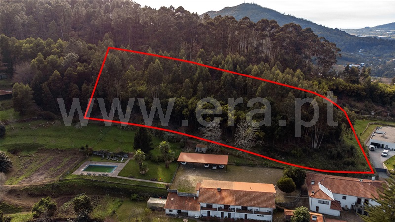 Lote / Vila Nova de Cerveira, Gondarém