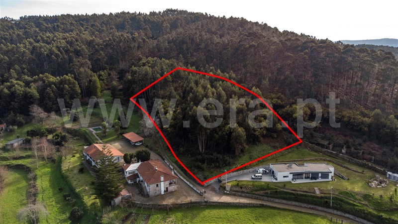 Lote  Vila Nova de Cerveira, Gondarém - 1467838 - 3