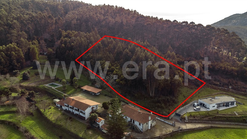 Lote  Vila Nova de Cerveira, Gondarém - 1467838 - 4