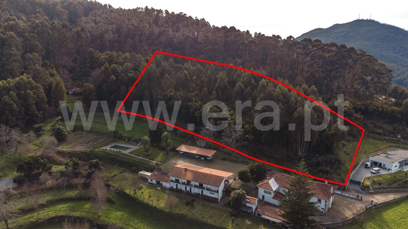 Lote  Vila Nova de Cerveira, Gondarém - 1467838 - 5