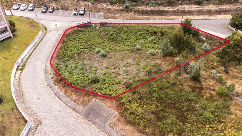 Lote / Vila Nova de Cerveira, Loivo