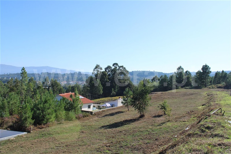 Lote  Vila Nova de Cerveira, Reboreda e Nogueira - 1047944 - 2