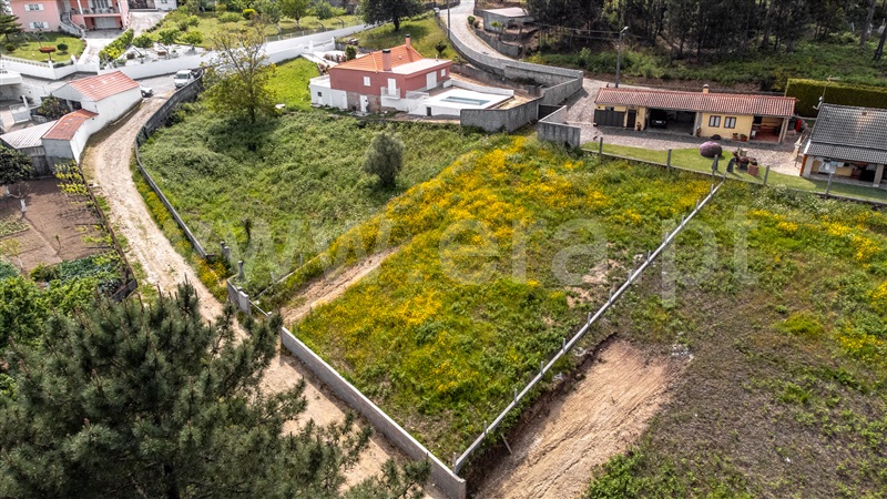 Lote  Vila Nova de Cerveira, Reboreda e Nogueira - 1246831 - 2
