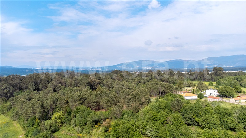 Lote  Vila Nova de Cerveira, Reboreda e Nogueira - 1246831 - 5