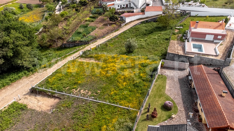 Lote  Vila Nova de Cerveira, Reboreda e Nogueira - 1246831 - 6