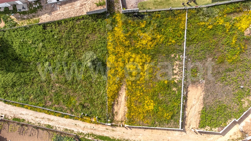 Lote  Vila Nova de Cerveira, Reboreda e Nogueira - 1246831 - 9