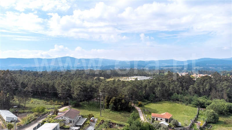 Lote  Vila Nova de Cerveira, Reboreda e Nogueira - 1246834 - 3