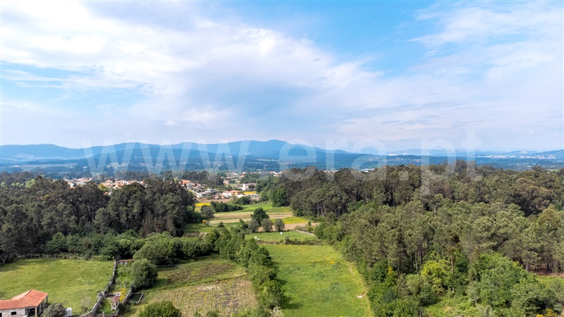 Lote  Vila Nova de Cerveira, Reboreda e Nogueira - 1246834 - 4