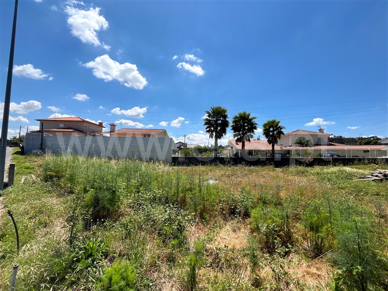 Lote / Vila Nova de Famalicão, Esmeriz e Cabeçudos