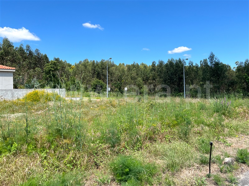Lote / Vila Nova de Famalicão, Esmeriz e Cabeçudos