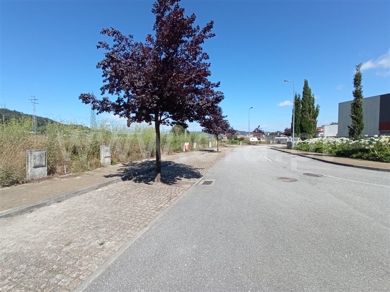 Lote / Vila Nova de Famalicão, Oliveira (Santa Maria)
