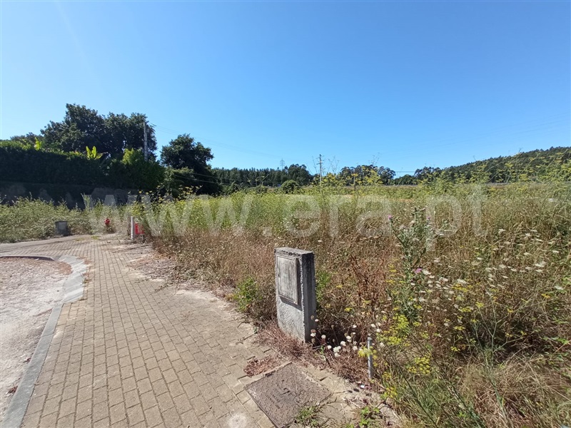Lote  Vila Nova de Famalicão, Oliveira (Santa Maria) - 1190796 - 5