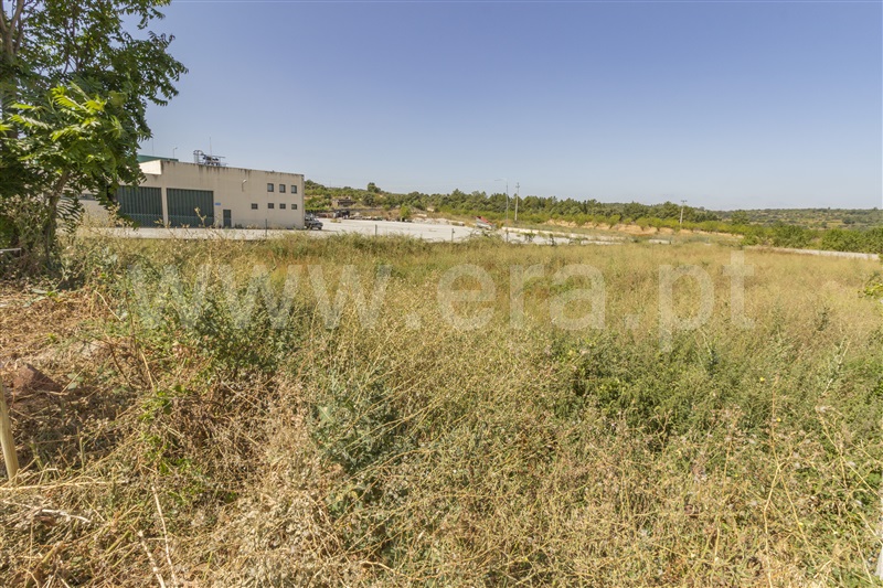 Lote  Vila Nova de Foz Coa, Freixo de Numão - 819178 - 3