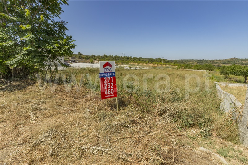 Lote  Vila Nova de Foz Coa, Freixo de Numão - 819178 - 1