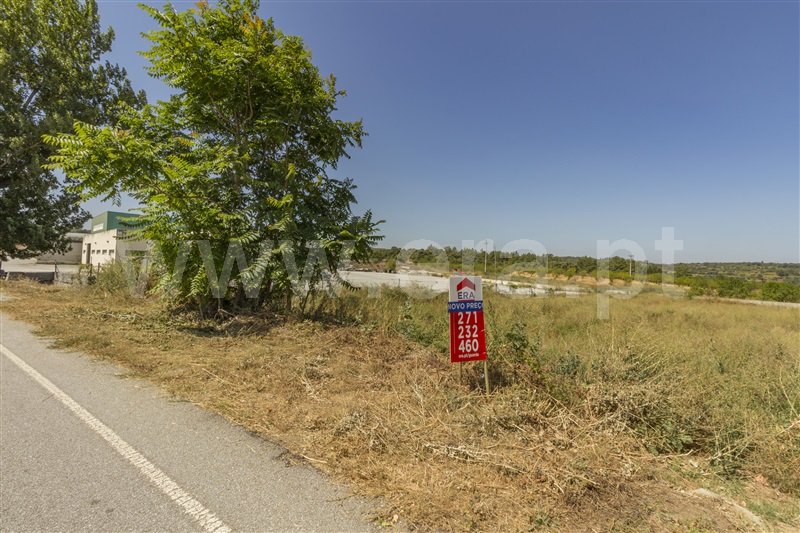 Lote  Vila Nova de Foz Coa, Freixo de Numão - 819178 - 4