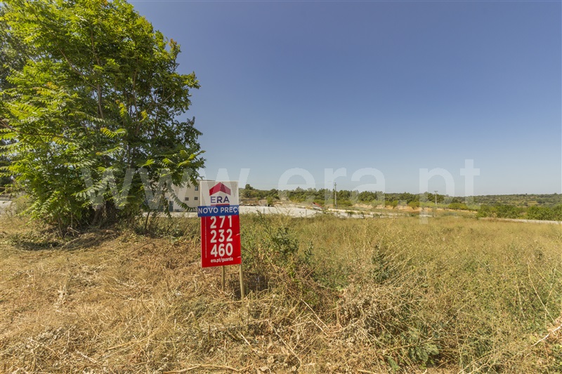 Lote  Vila Nova de Foz Coa, Freixo de Numão - 819178 - 5