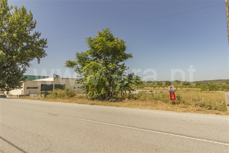 Lote  Vila Nova de Foz Coa, Freixo de Numão - 819178 - 6