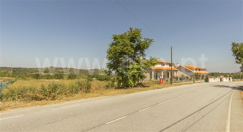 Lote  Vila Nova de Foz Coa, Freixo de Numão - 819178 - 7