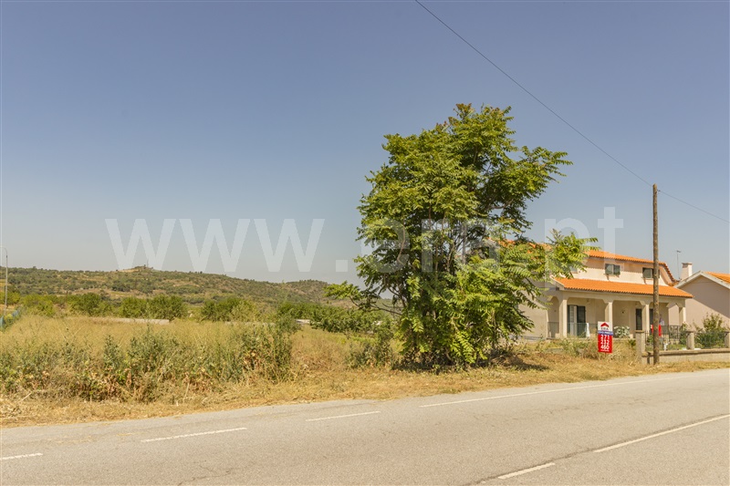 Lote  Vila Nova de Foz Coa, Freixo de Numão - 819178 - 8