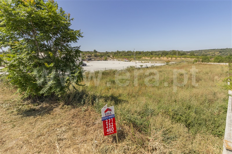 Lote  Vila Nova de Foz Coa, Freixo de Numão - 819178 - 9