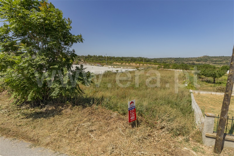 Lote / Vila Nova de Foz Coa, Freixo de Numão