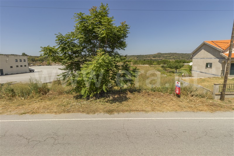 Lote  Vila Nova de Foz Coa, Freixo de Numão - 819178 - 10