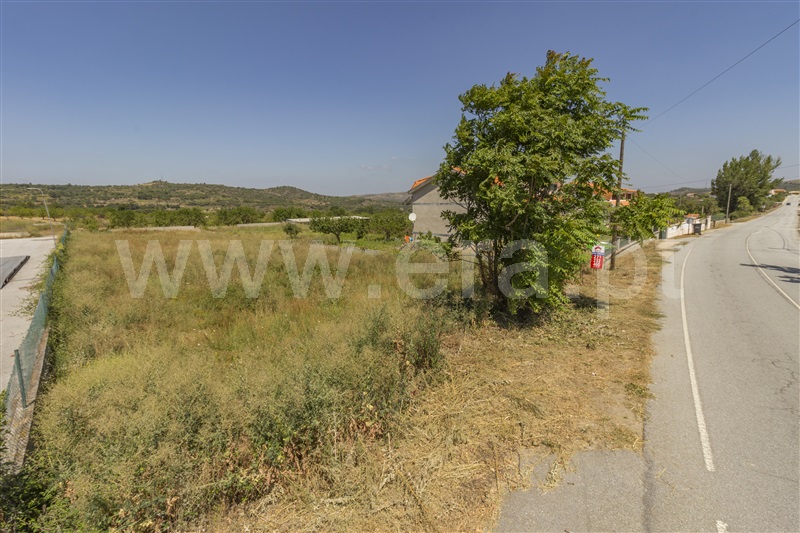 Lote  Vila Nova de Foz Coa, Freixo de Numão - 819178 - 12