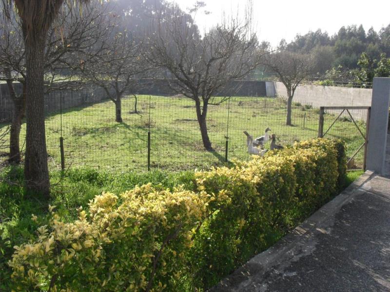 Lote / Vila Nova de Gaia, A1 - Miramar