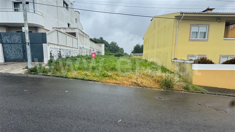Lote  Vila Nova de Gaia, Grijó e Sermonde - 1484977 - 4