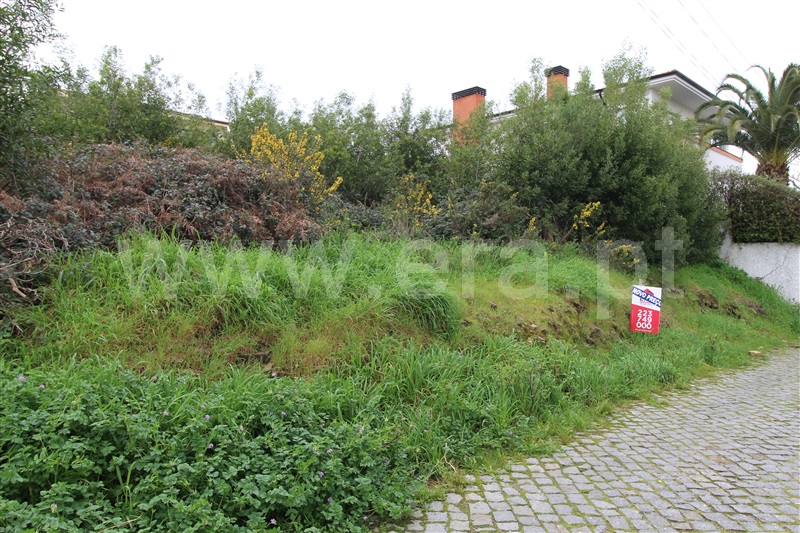 Lote  Vila Nova de Gaia, Oliveira do Douro - 1050098 - 5