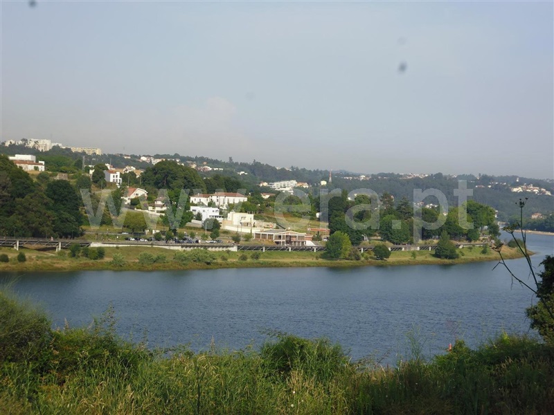 Lote / Vila Nova de Gaia, Oliveira do Douro