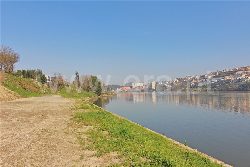 Lote / Vila Nova de Gaia, Oliveira do Douro