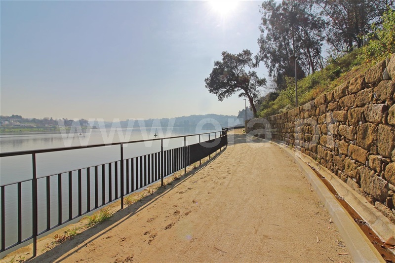 Lote / Vila Nova de Gaia, Oliveira do Douro