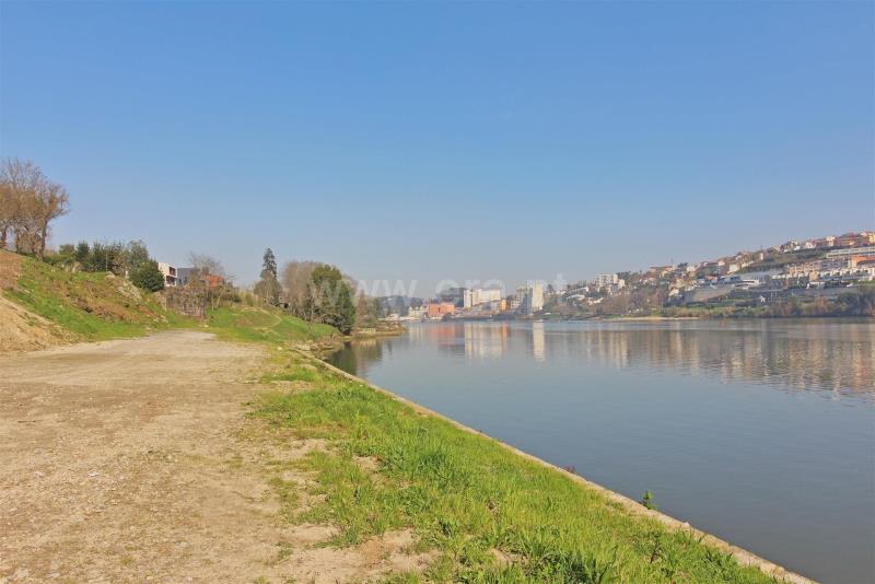 Lote / Vila Nova de Gaia, Oliveira do Douro