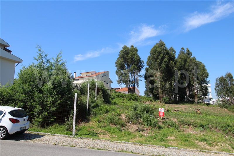 Lote / Vila Nova de Gaia, Oliveira do Douro