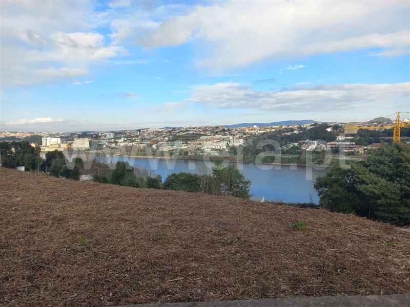 Lote / Vila Nova de Gaia, Oliveira do Douro