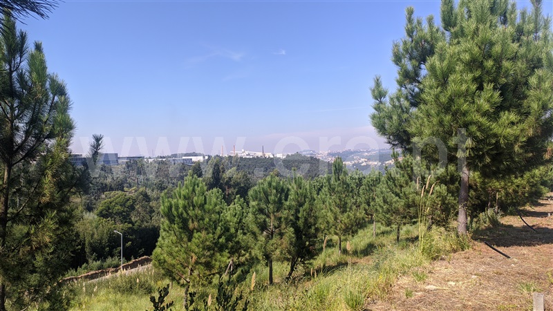 Lote / Vila Nova de Gaia, Sandim, Olival, Lever e Crestuma