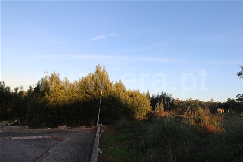 Lote  Vila Nova de Gaia, Serzedo e Perosinho - 1245844 - 15