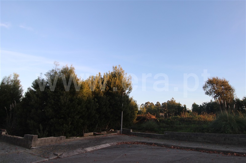Lote  Vila Nova de Gaia, Serzedo e Perosinho - 1245844 - 19